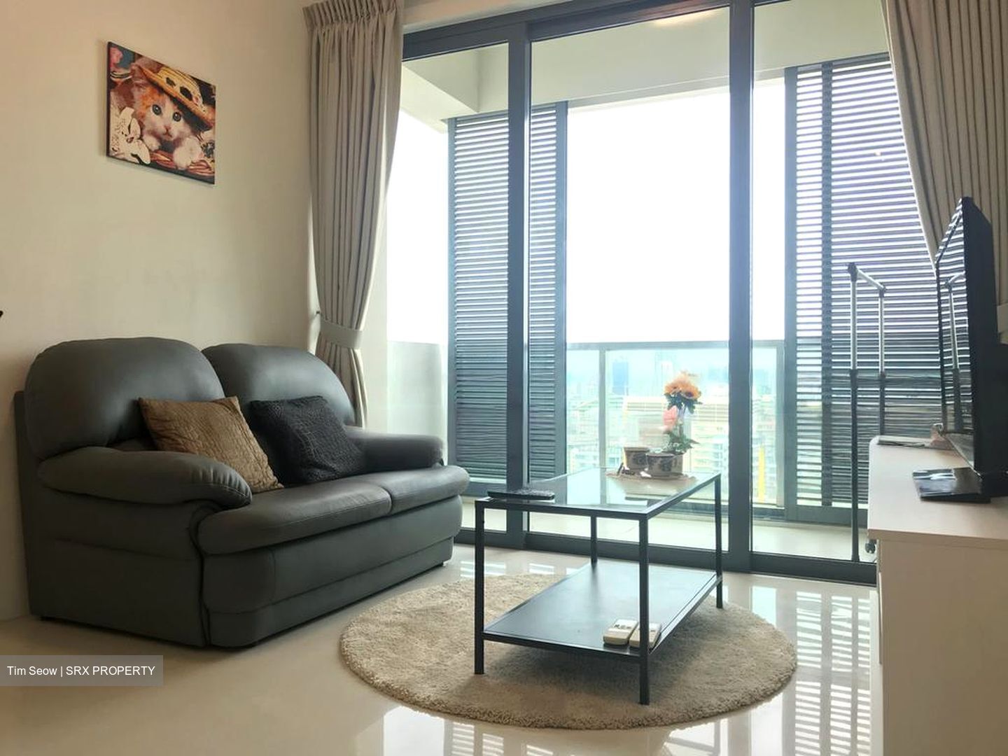 Soleil @ Sinaran (D11), Condominium #567002441